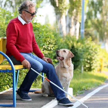 Blind guy with seeing eye dog and cane-min Blind guy with seeing eye dog and cane-min
